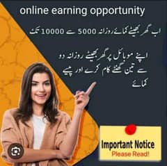 online Earning with mobile we give you the chance to shine