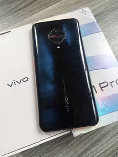 vivo