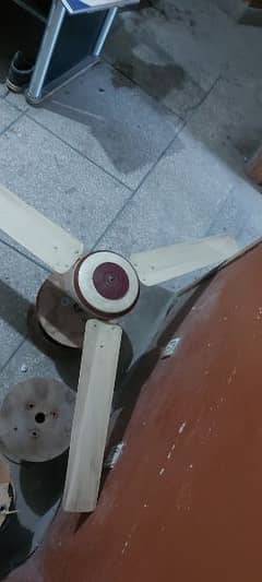 Pak Fan 56 inches ceiling Fan.  Fan is very good condition 0