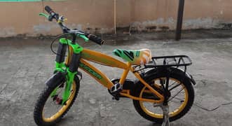 Thunder Cycle Bicycle for Kids