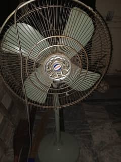 Fan