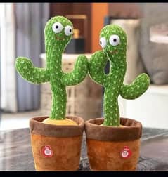 Baby cactus