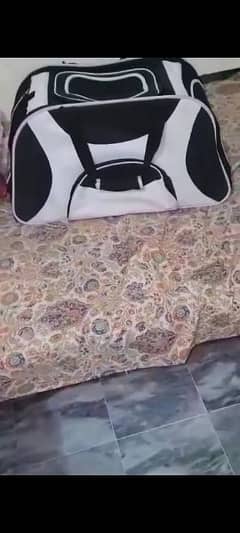 cat bag imported quality