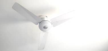 Millat ceiling fan