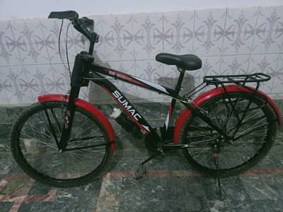 Brand New Bicycle