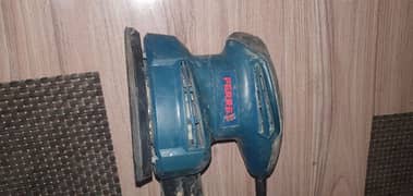 Sander / Imported Sander