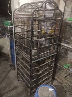 Cage for Macaw Grey Kakatu