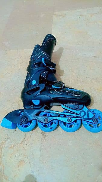 Skating Shoes 2