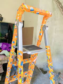 Folding Ladder