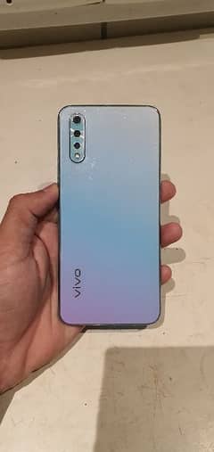 VIvo