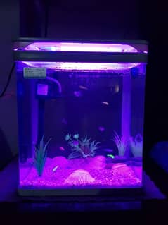 Brand New Imported Aquarium