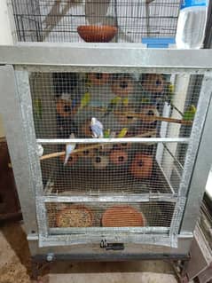 Birds cage made out of lahori cooler