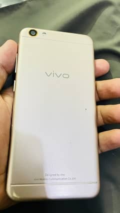 vivo