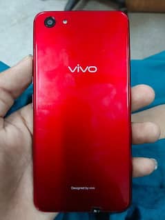 vivo