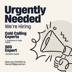 SEO cold call agents, CSR, Customer Sales Representative English Speak