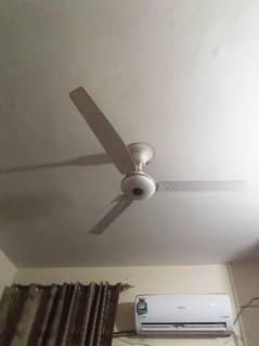 ceiling fan