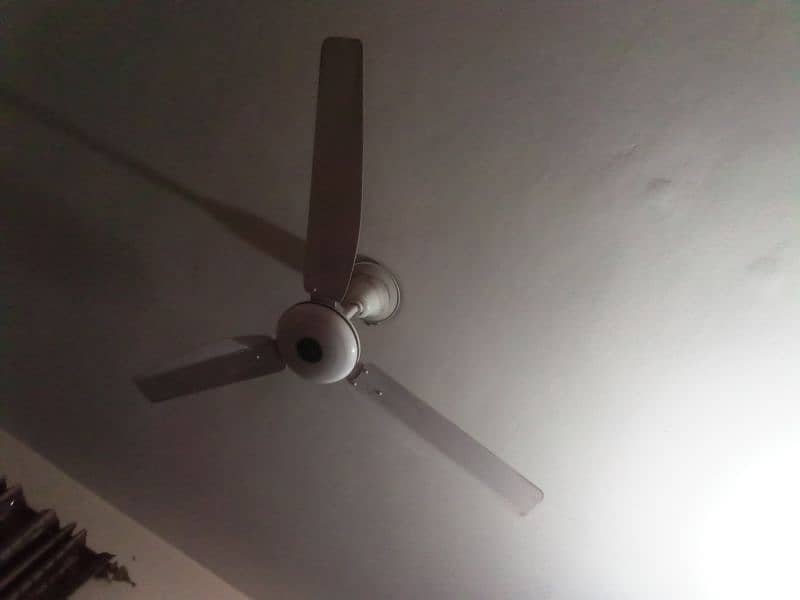 ceiling fan 1