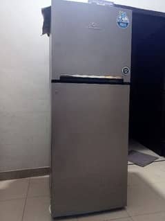 dowlance medium size new fridge