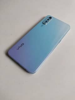 vivo