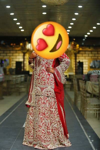 Bridal Baarat dress 4