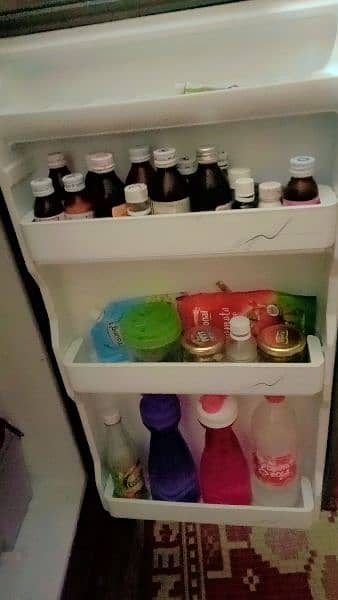 fridge 3