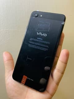 Vivo