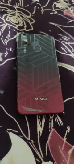 vivo