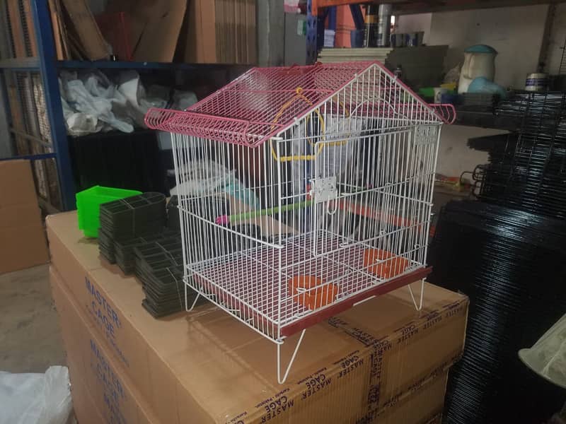 Bird Cage Pinjra Parrot Bajri Australian Tota Pahari Raw Green Cat Dog 10