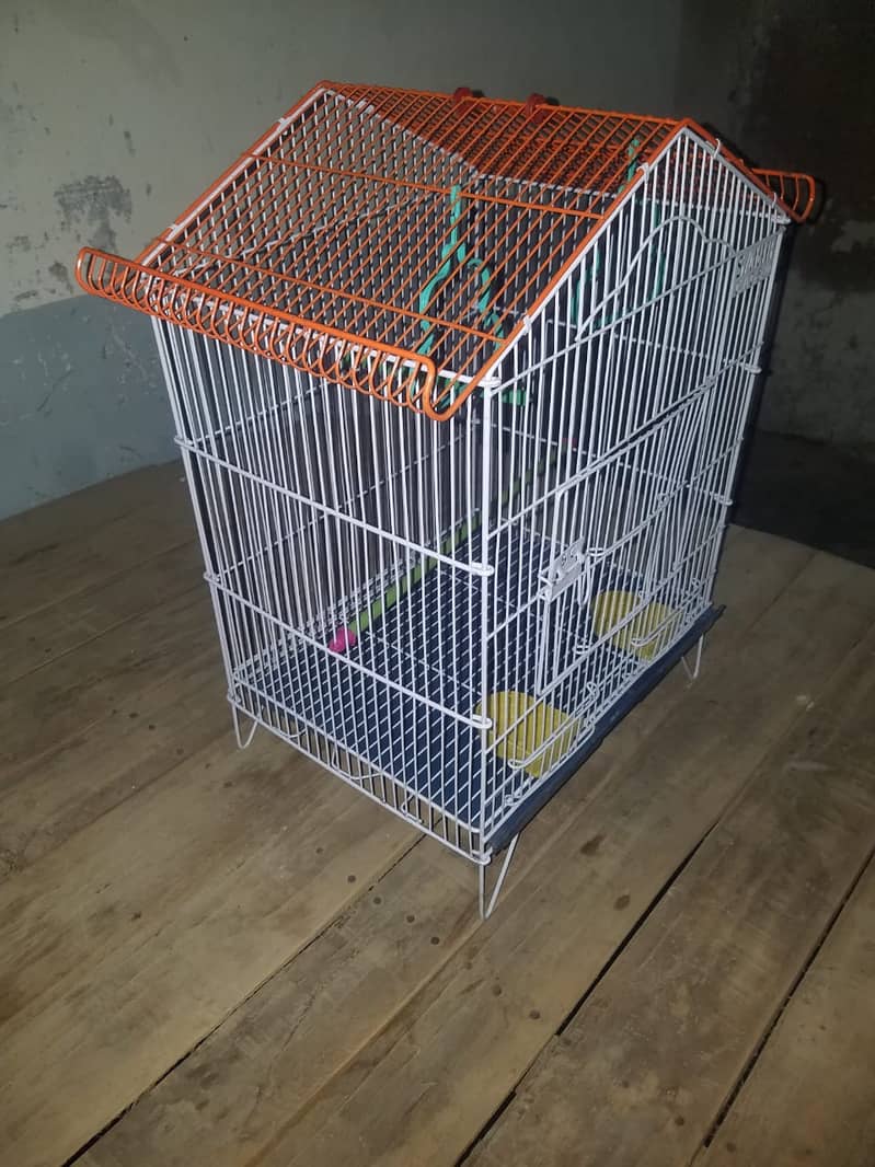 Bird Cage Pinjra Parrot Bajri Australian Tota Pahari Raw Green Cat Dog 11