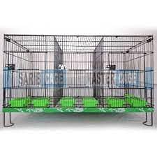 Bird Cage Pinjra Parrot Bajri Australian Tota Pahari Raw Green Cat Dog 16