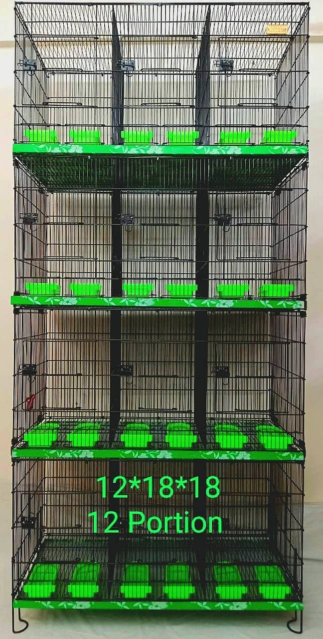 Bird Cage Pinjra Parrot Bajri Australian Tota Pahari Raw Green Cat Dog 19