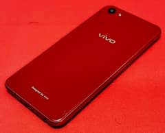 Vivo