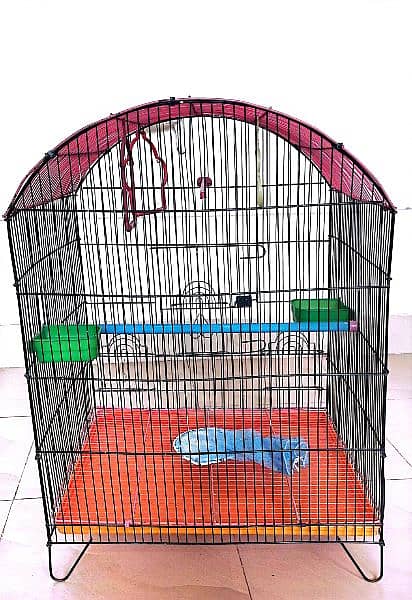 Parrot Cage 1