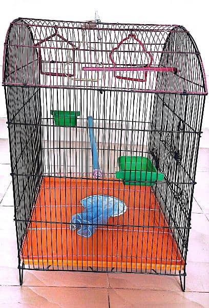 Parrot Cage 2