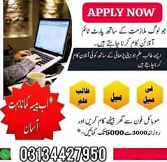 Male Female and Student Required for Office Work