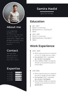 PROFESSIONAL CV MAKER