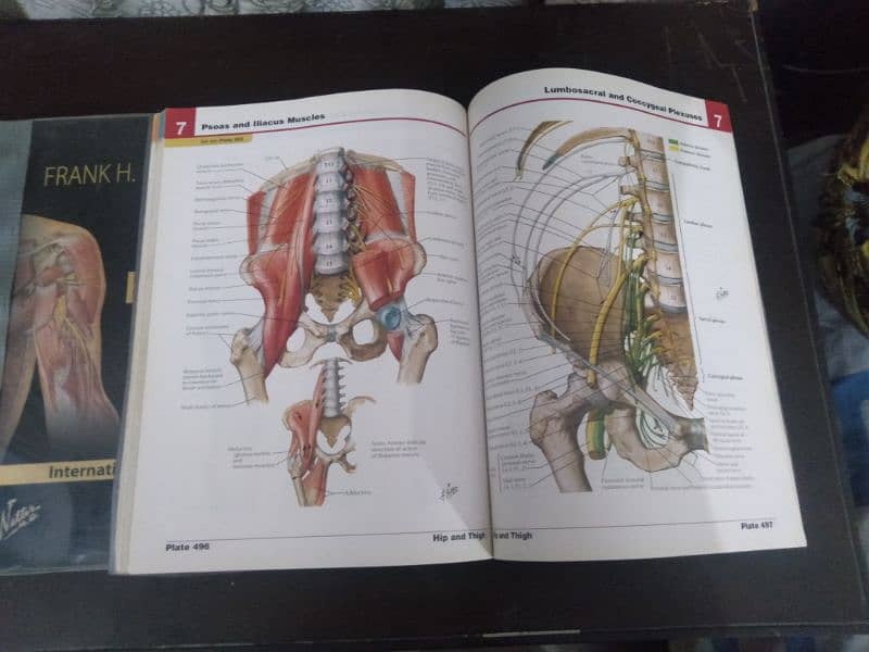 Dorlands medical dictionary and Human Atlas 6