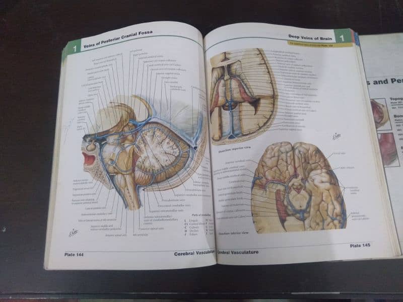 Dorlands medical dictionary and Human Atlas 7