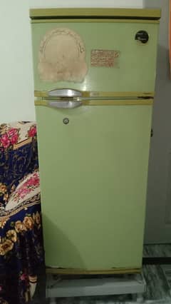 Medium Size Refrigerator of Philips Brand