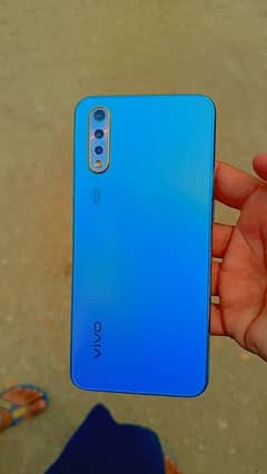 vivo