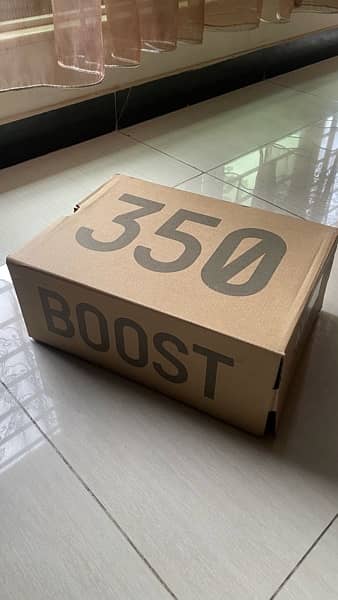 Adidas Yeezy 350 | Shoes For Sale (DEMANDING ARTICLE) 2