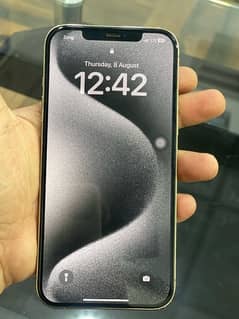 iphone 12pro max  512 gb pTA duel approved