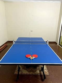 Table Tennis | Ping Pong