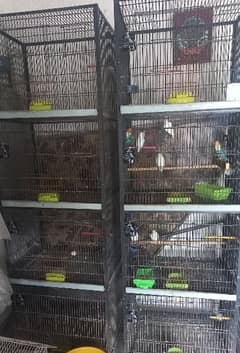 Cage sale for birds(love birds, budgies, cocktail, Ringneck,java)