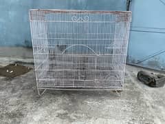 Cage and Ringneck Box