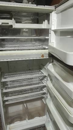 Refrigerator/Fridge/Freezer