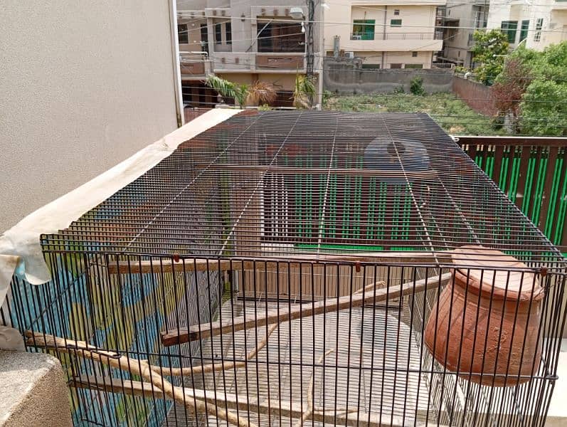 birds iron cage for sale 0