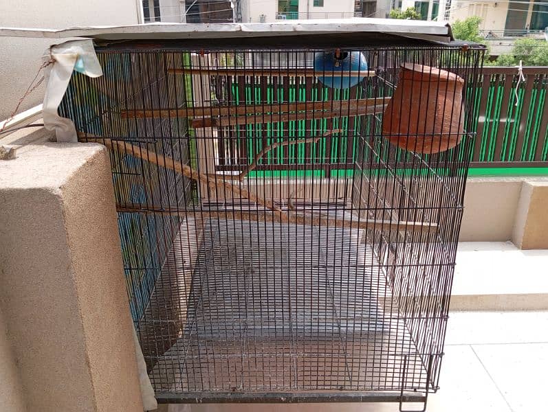 birds iron cage for sale 2