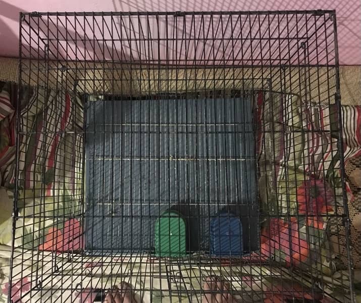 Master Cage For Parrots Birds 10