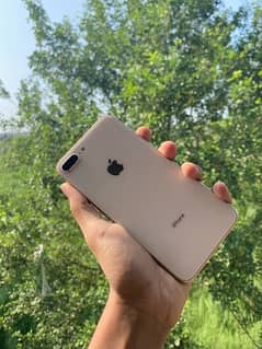 Iphone 8 Plus Genuine ~ All Okay